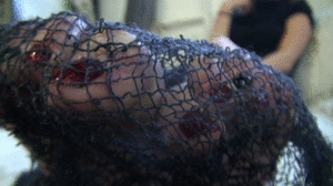 roxierae.com - Caught in a Net thumbnail
